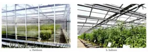 Premierplast | Performance Evaluation and Selection Criteria for Polycarbonate Hollow Panels