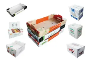 Premierplast | Corrugated Plastic sheet in Modern Logistics Packaging: Evolution, Structure, and Applications