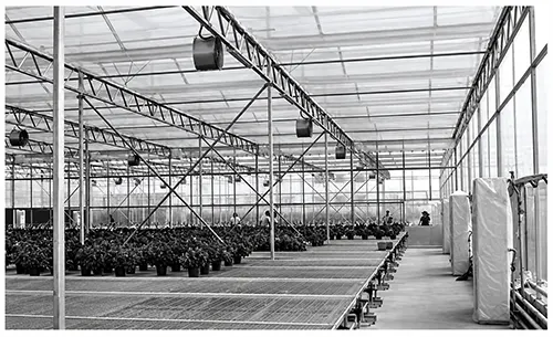 Premierplast | Polycarbonate Multiwall Sheets for Green Building Design